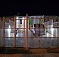 *Chave * Baixo? Para Vender Hoje Vendo Casa 3 Dormitórios 