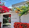 - Casa No Vinhais