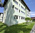 Apartamento Térreo No Bairro Saguaçu