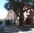 São Leopoldo  Centro 3 Dor