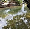 Banho No Água Boa Um Paraíso Metade Do Preço