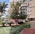 Garden Palmeiras