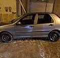 Palio Ano 11