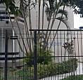 Apartamento Com 2 Dormitórios Para Alugar, 62 M² Por R$ 900/Mês - Centro - Pelotas/Rs