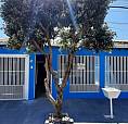 Casa Grande Top
