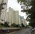Apartamento Para Alugar Com 2 Dormitórios Cod:50102