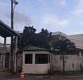 Excelente Casa No Jardim Petrópolis I 