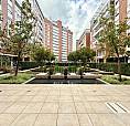 Apartamento Em Pedra Branca - Locação - 3 Dormitórios (1 Suíte)