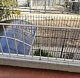 Apartamento 2 Dormitórios No Bairro Gloria