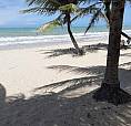 Apt Junto A Praia. Perfeito Pra Uma Ou Duas Pessoas. Locação Anual. 36M2<Br>Wats 83.98687.620