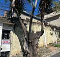 Casa Em Vila Bonilha - São Paulo, Sp