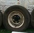Roda