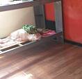 Casa4Comodos