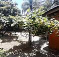 Porto Alegre - Casa Padrão - Partenon