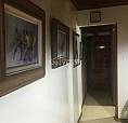 Apartamento : Padrão / Residencial / Centro