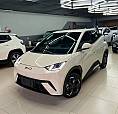 Byd Dolphin Ev (Elétrico) 2027
