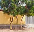 Vendo Casa - São Gonçalo Do Amarante- Ce 