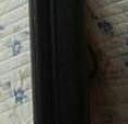 Notebook Asus