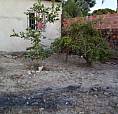 Vendo Casa 