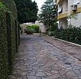 Alugo Apto Direto Com Proprietário.