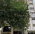Apartamento De 2 Quartos. Excelente Localização 