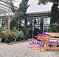 51-981,29,79,29 Carina / C393 Exclusividade Suprema! Mariluz - Imbé