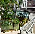 Apartamento Para Locação No Rua José Maria De Miranda, Boa Viagem, Recife, Pe
