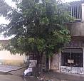 Urgente Alugo Casa Com Ponto!!!!!