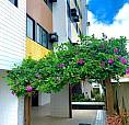 Apartamento Com Vista Para O Mar 65 M²