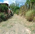 Vendo Casa Parobé