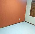 Apartamento Na Azenha 1 Dormitório