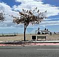 Apartamento Em Prédio Frente Mar