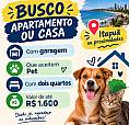 Busco Imóvel 