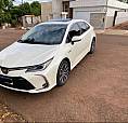 Corolla Híbrido Altis Premium