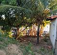 Casa E Terreno No Povoado Jatobá Na Barra Dos Coqueiros.