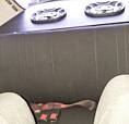 Fusca