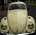 Fusca