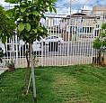 Aluguel Casa Avenida Rui Barbosa Cod. Loc 0817