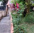 Casa Em São Geraldo. Distrito De Volta G