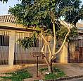 Alugar Casa