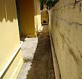 Alugo Ou Vendo Casa Em Enseadas Dos Corais