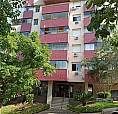 Apartamento Com 2 Dormitórios À Venda, 60 M² Por R$ 320.000,00 - Jardim Do Salso - Porto A