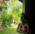 Casa Na Ilha, 1 Quarto