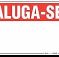 Alugueis De Casas.