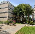 Sao Leopoldo - Apartamento Padrao - Rio Branco
