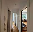 Apartamento : / Residencial / Humaitá