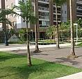 Apartamento De Cobertura A Venda Na Vila São Francisco - São Paulo/Sp