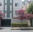 Aluguel Apto 2Qts,1Vg, No Bairro Castelo