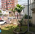 Casa Para Venda - 130M², 2 Dormitórios, 1 Vaga - Cidade Baixa