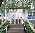 Apartamento - Cambuí - Campinas